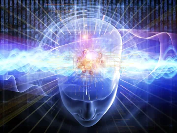 Wall Street Grapples with AI Frenzy